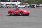  DIG1299
