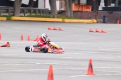 DSC 5164