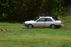 DSC 8129