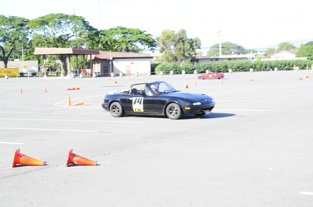  DSC1595