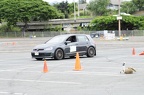 1DSC0175