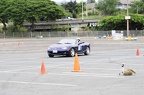 1DSC0239