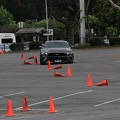 IMG 8844