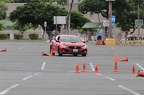 IMG 9004