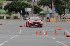 IMG 9005