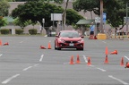 IMG 9006