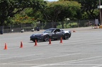 IMG 9013