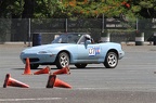 IMG 9169