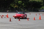 IMG 9006