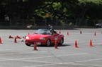 IMG 9008