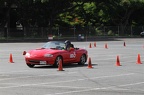 IMG 9009