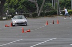 IMG 6569