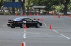 IMG 9172