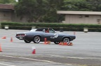 IMG 9168