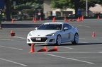  MG 9169