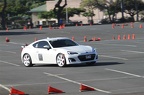  MG 9181