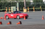 MG 9239