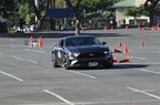  MG 9297