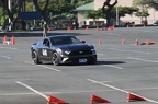  MG 9298