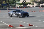  MG 9299