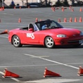 IMG 0004