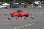 IMG 9008