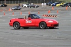 IMG 9010