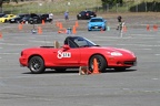 IMG 9012