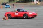 IMG 9013