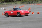 IMG 9016