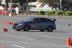 HMG 9195