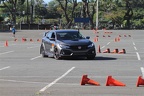 HMG 9208