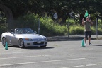 HMG 9217