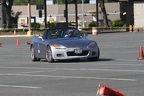 HMG 9263
