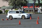 HMG 9316