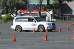 HMG 9317