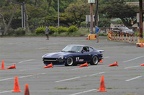 IMG 5831