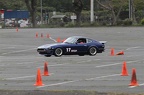 IMG 5834