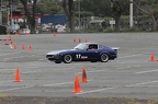IMG 5835