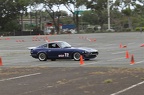 IMG 5853