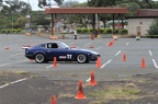 IMG 5856