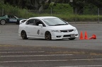 IMG 5910