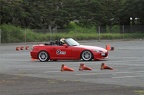 IMG 5954