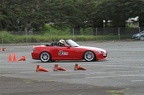 IMG 5955