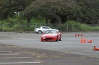 IMG 5959