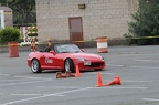 IMG 5978