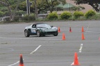 IMG 6019