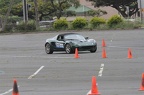 IMG 6020