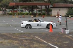 IMG 9009