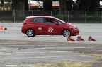 IMG 9163